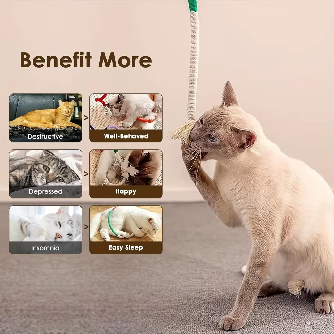 Interactive Catnip Cotton Chew Toy - Teeth Cleaning & Nibbling Exercise for Indoor Cats